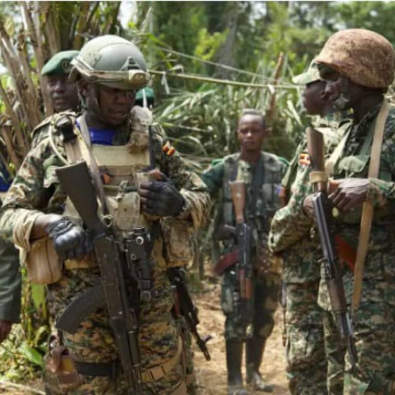 Iturie : Les FARDC et l&rsquo;UPDF ont lancé une offensive majeur à Lolwa