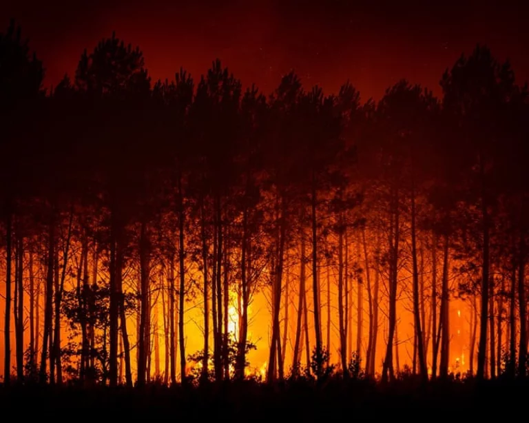 Les pompiers français préviennent que les incendies pourraient prendre des semaines à maîtriser