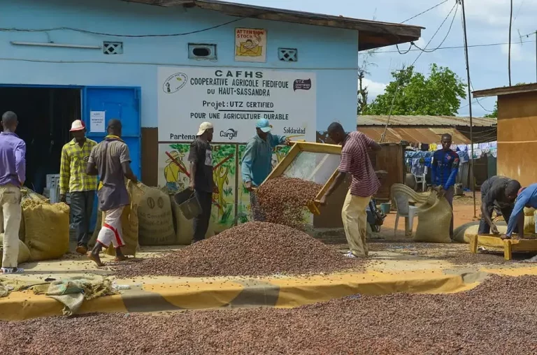 La Côte d&rsquo;Ivoire diversifie son économie au-delà du cacao, selon la BAD et le CEPICI