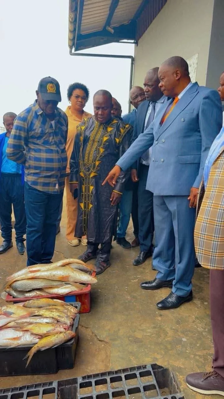 Les pêcheurs de Djéno et Loango : des artisans silencieux au cœur de l&rsquo;économie locale