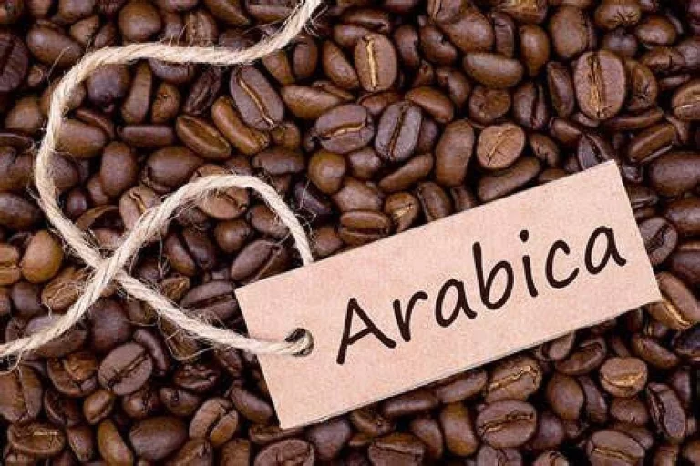 Le prix du café Arabica dépasse 6 USD/kg sur les marchés internationaux