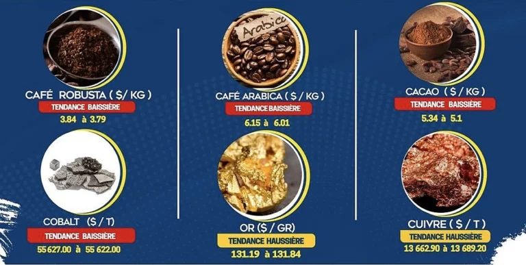 Évolution contrastée des prix des matières premières en RDC : cacao en baisse, or en hausse