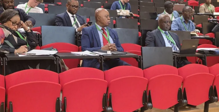 Fiscalité et minerais : à Paris, l’IGF veut renforcer la gouvernance financière de la RDC