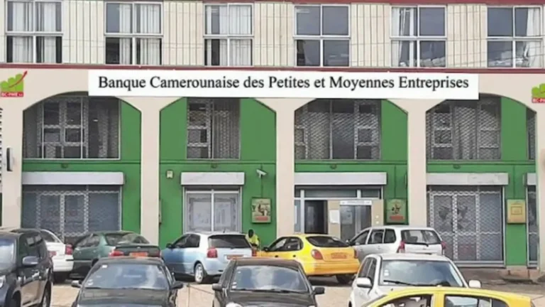 Les PME au Cameroun font face à des taux d&rsquo;intérêt bancaires nettement plus élevés que les grandes entreprises