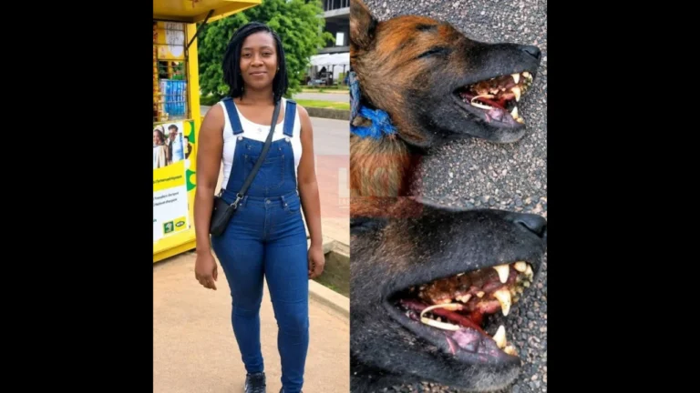 Édéa : Une femme perd la vie après une attaque mortelle de chiens au domicile de son employeur