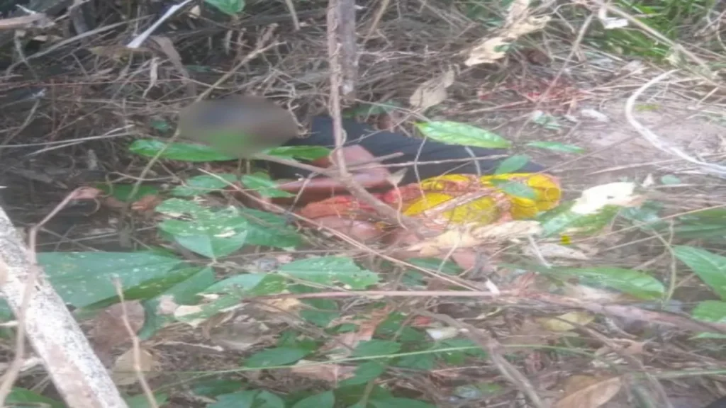 Une femme enceinte abattue par des adolescents qui la prenaient pour un animal sauvage au Ghana