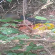 Une femme enceinte abattue par des adolescents qui la prenaient pour un animal sauvage au Ghana