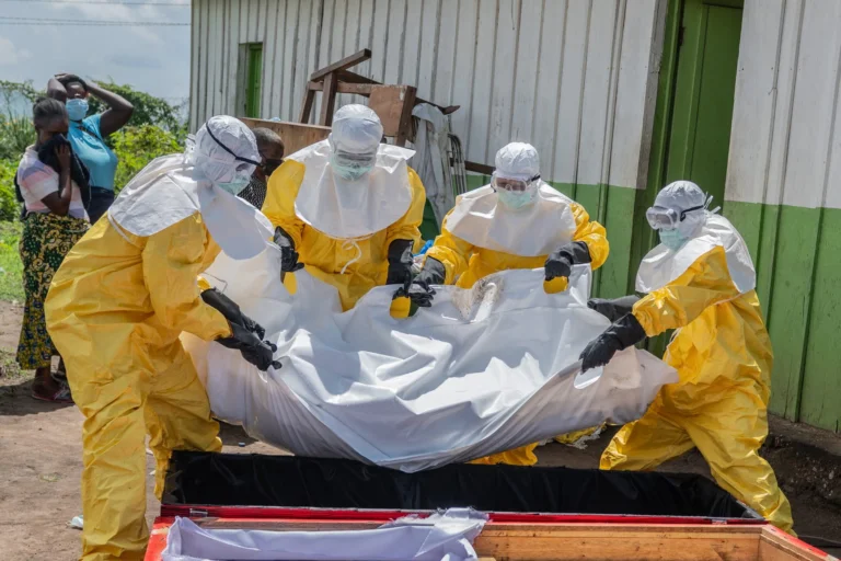 Transmission du virus Ebola : des survivants peuvent infecter par le sperme, pas par la sueur ou la salive