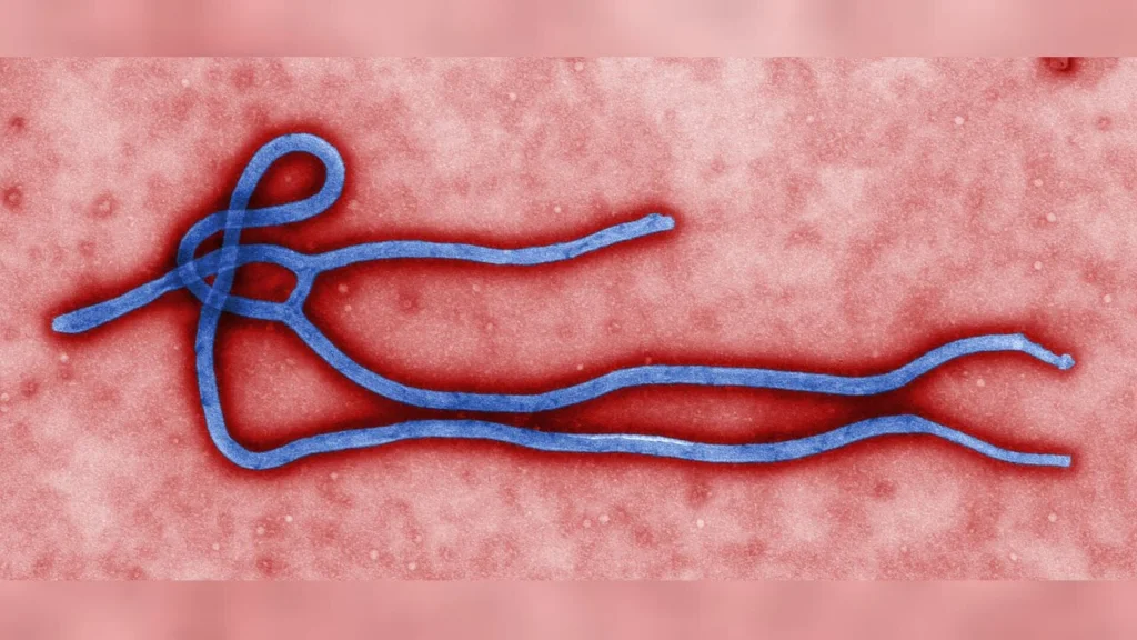 Confirmation d’un cas importé d’Ebola Bundibugyo à Abuja, Nigeria