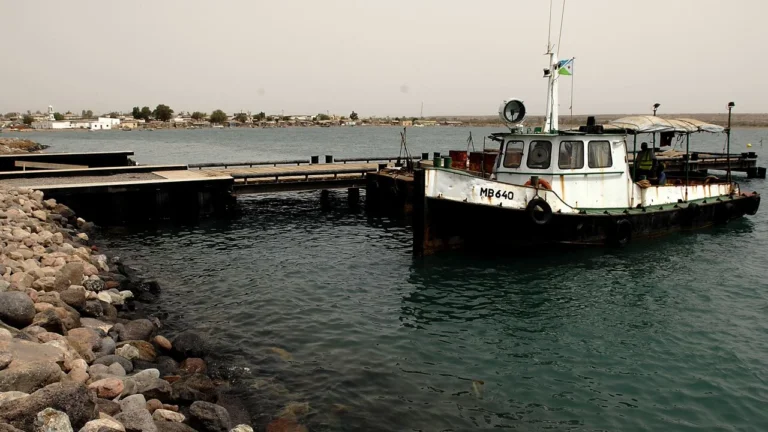 Tragédie en mer : au moins 139 migrants périssent dans un naufrage près de Djibouti
